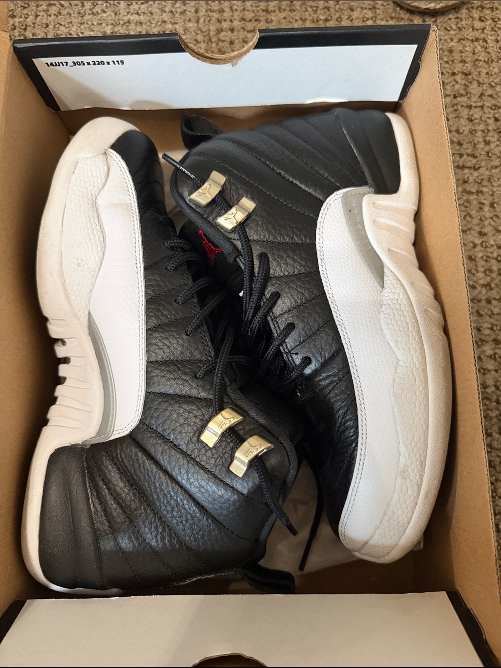 Air Jordan 12 retro (GS)